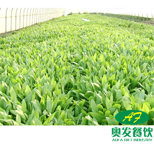 武漢蔬菜配送時(shí)要注意什么？